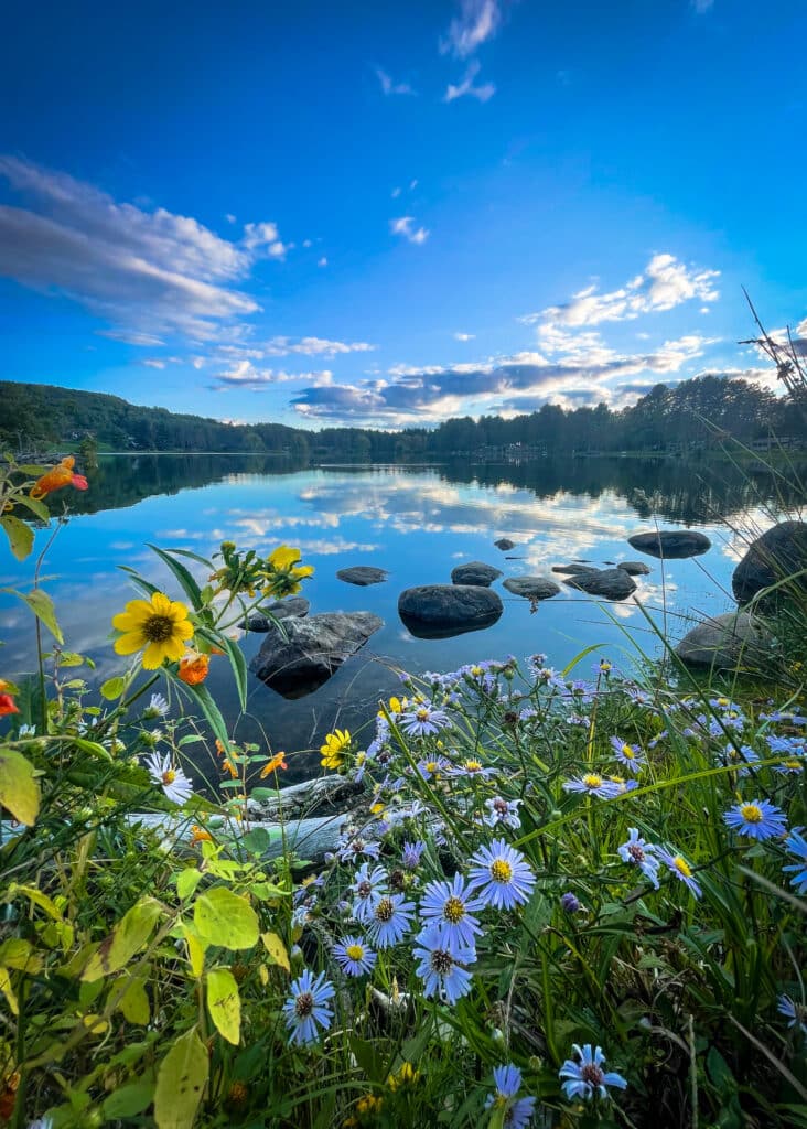 A campground near Rainbow Lake with wildflowers and rocks in the background, perfect for camping.