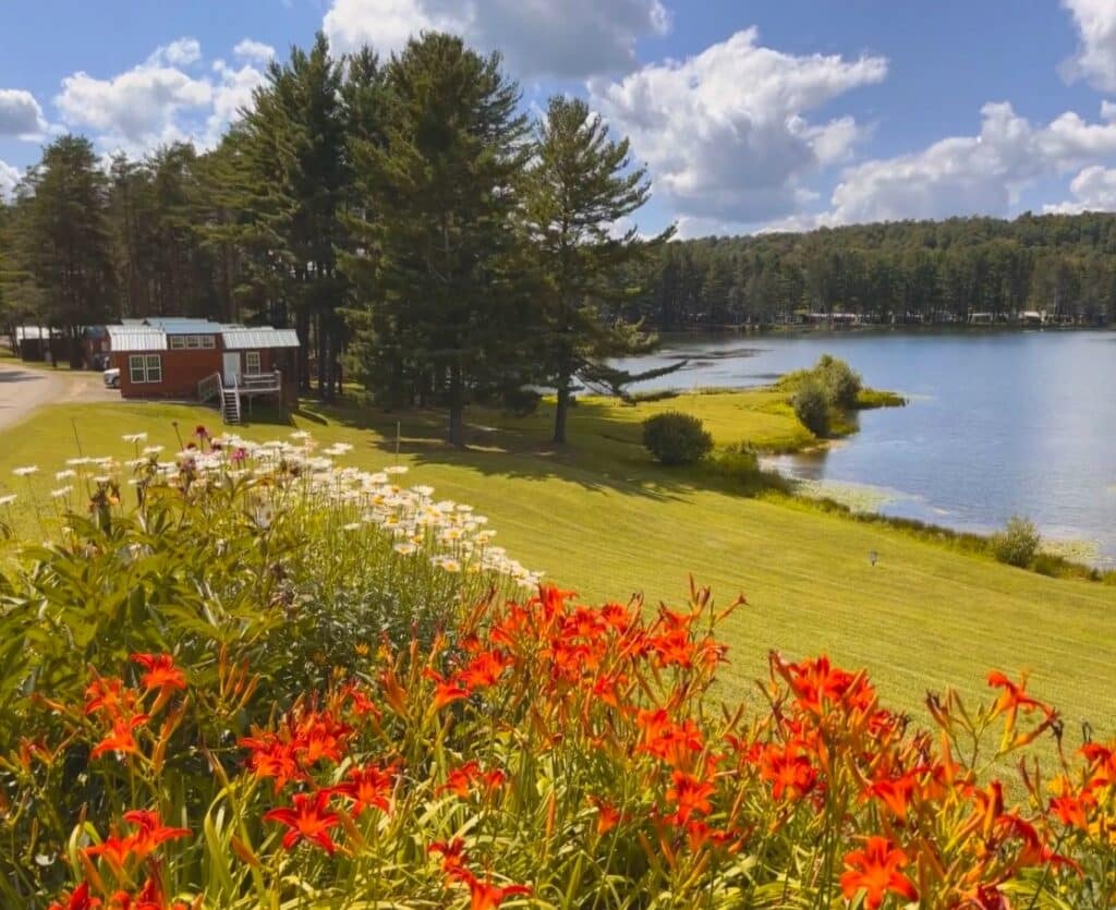 Amr Terrestrial Cabin On Lake Wide Flowers