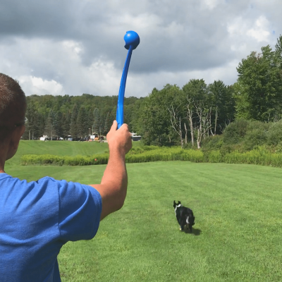 A man throwing a frisbee to a dog at Rainbow Lake.